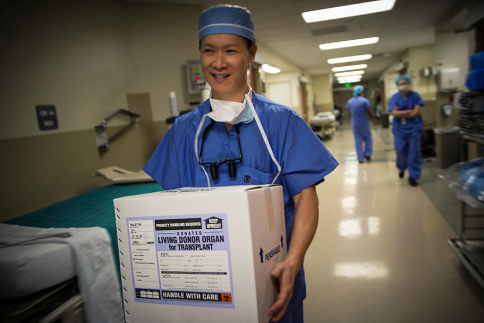 Ein Organ für eine Transplantation wird in einer US-Klinik in einer Kiste getragen.