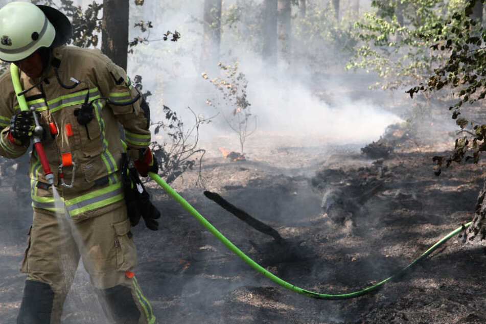 Ein Brandbekämpfer im Einsatz gegen die Flammen im Grunewald.