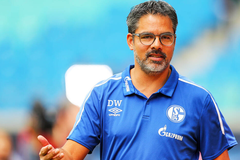 Der neue Trainer David Wagner hat es innerhalb kürzester Zeit geschafft, eine funktionierende Mannschaft zu formen, die auf dem Feld ihre Stärken ausspielen kann.