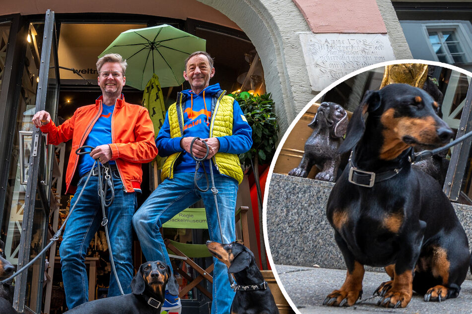 "Alles für den Dackel": Hunderasse bekommt neues kurioses Museum