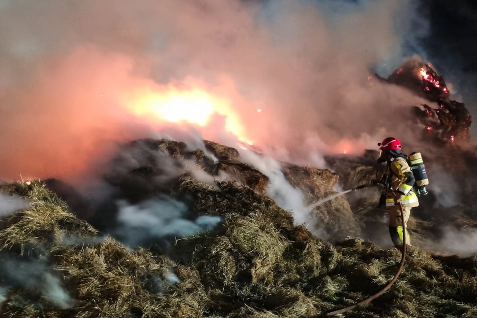 Die Feuerwehr war mit etwa 40 Einsatzkräften vor Ort, um die Lage unter Kontrolle zu bekommen.