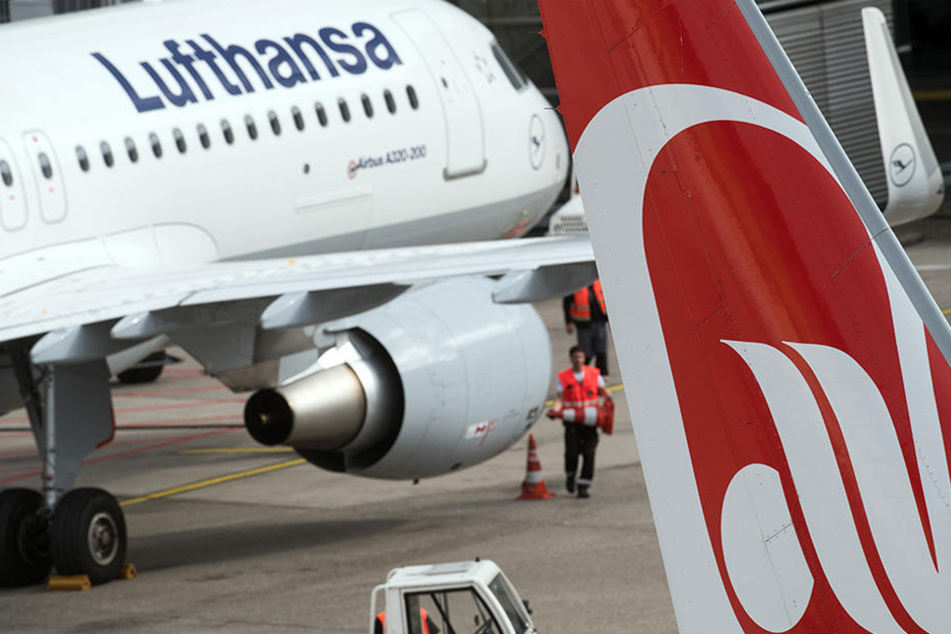 Vor allem die Air-Berlin-Tochter Niki ist aufgrund seiner modernen Flotte besonders begehrt.