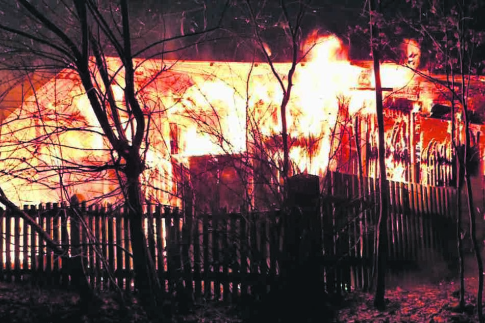In diesem Inferno starben Ziegen, Kaninchen und Hühner in Radeberg.
