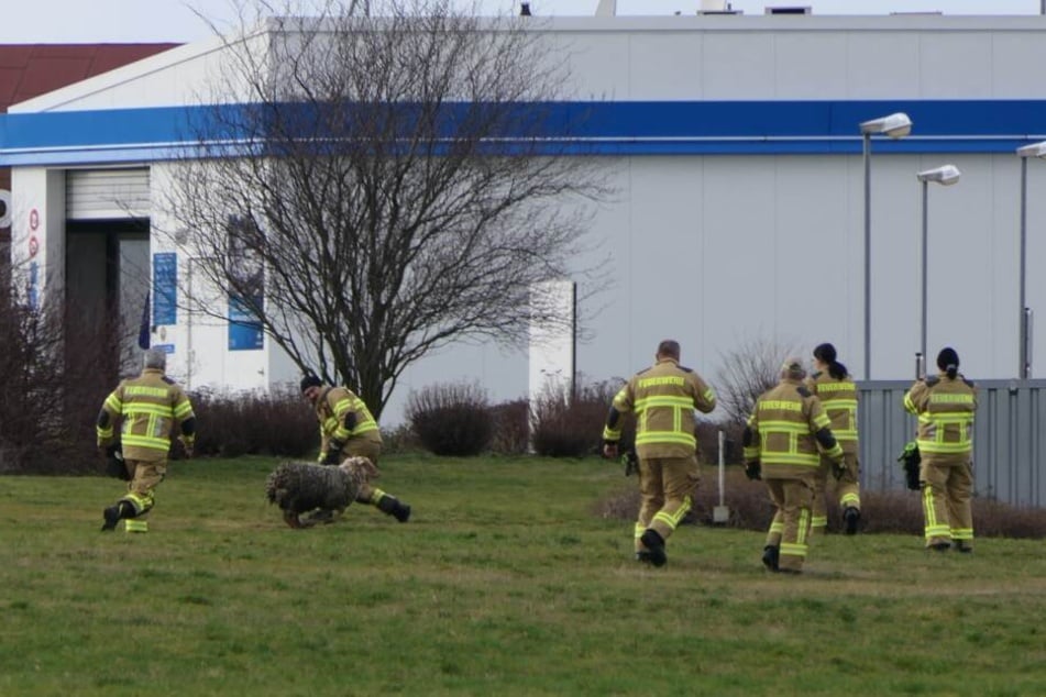 Zuvor war den Feuerwehrleuten das Schaf immer wieder entwischt.