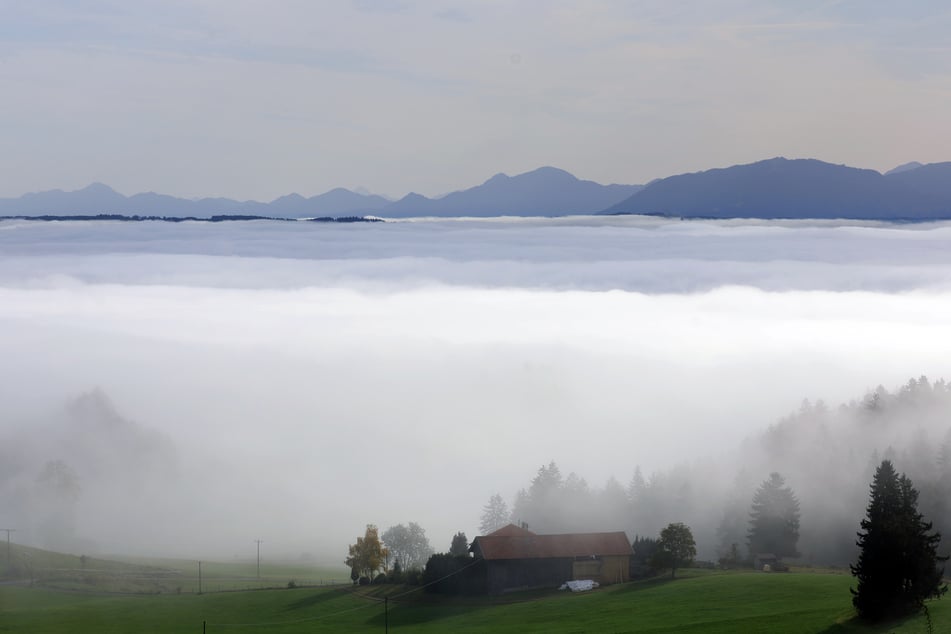 In Teilen Bayerns wird es am Wochenende neblig.