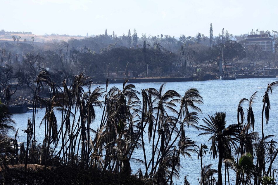 Destruction showed palm trees burned by the wildfire in Lahaina, Hawaii, as dozens of people were killed and thousands were displaced. Crews are continuing to search for missing people.