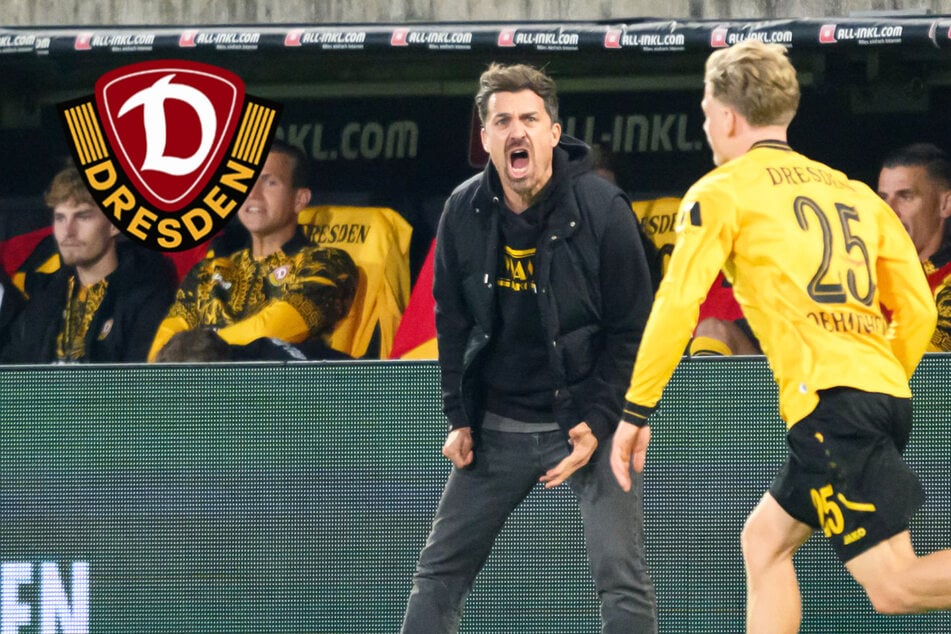 Trotz Training nicht umgesetzt: Stamm macht Dynamos Defensivarbeit Sorgen