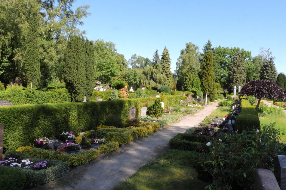 Der Langzeit-Arbeitslose soll auf dem Friedhof Rahlstedt begraben sein.