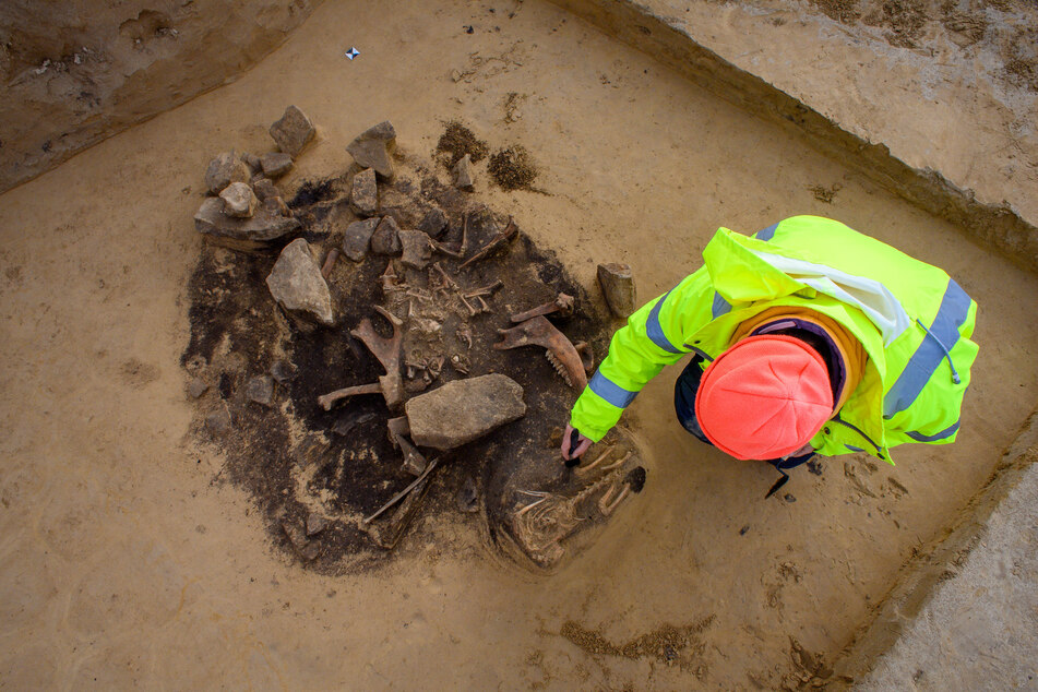 Die gefundenen Knochen sind aus dem Neolithikum und werden auf die Zeit zwischen 3200 und 2800 vor Christus datiert.
