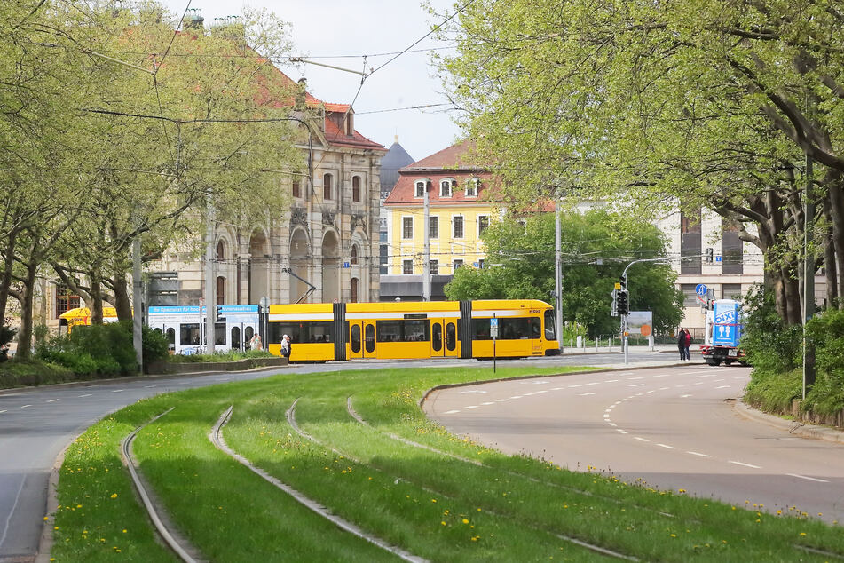 Ein Boulevard in der Neustadt: Das Rathaus möchte den Straßenraum zwischen Carola- und Palaisplatz neu gestalten.