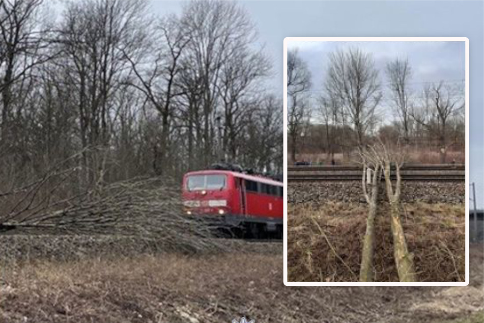 Baum kracht auf Gleise: 67 Passagiere im Zug gefangen