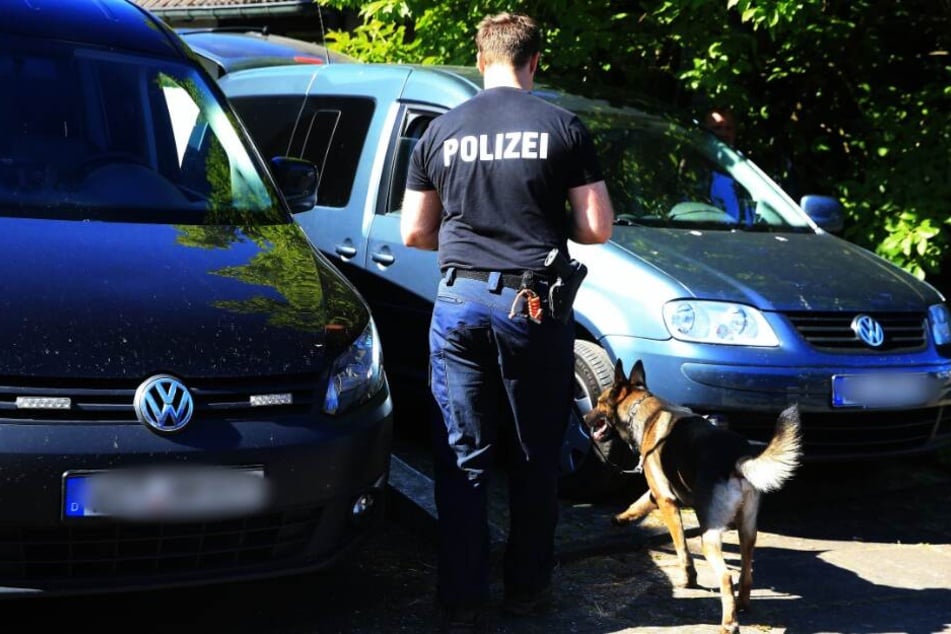 Die Suche mit einem Leichenspürhund wurde vorläufig beendet. (Symbolbild)