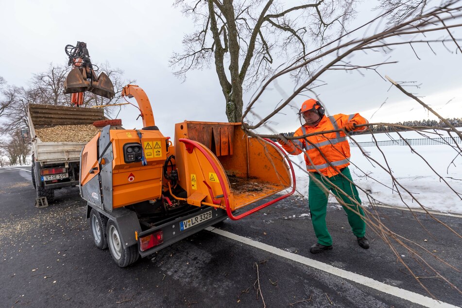 Die Mitarbeiter der Straßenmeisterei Falkenstein müssen auf der S301 30 bis 35 beschädigte Bäume beschneiden.