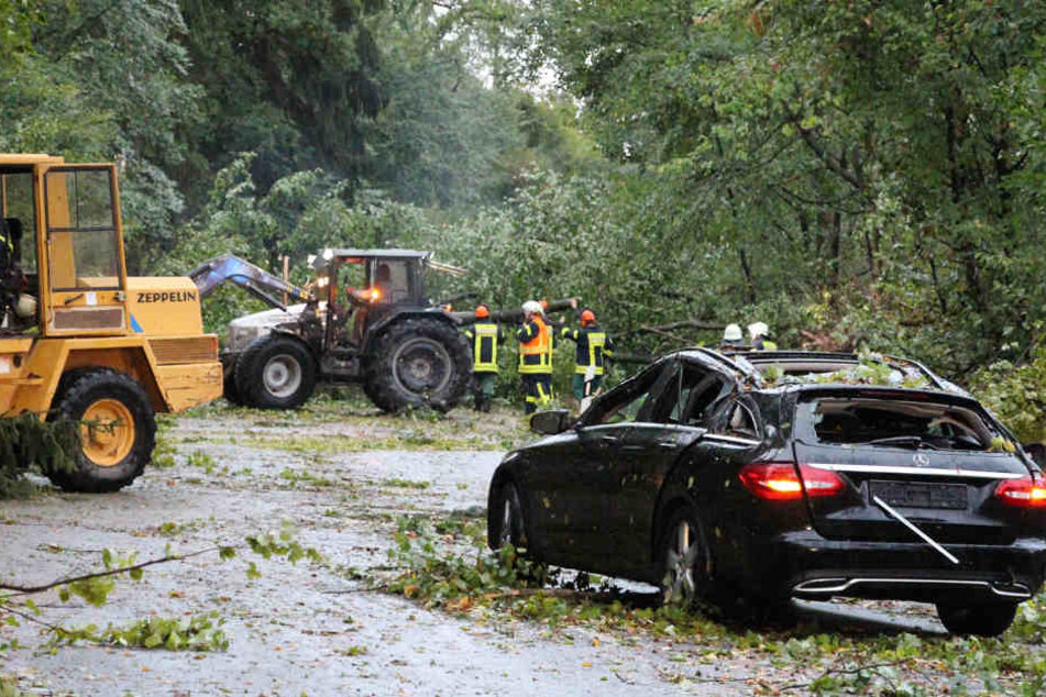 Eine Frau wurde leblos in ihrem Auto gefunden, nachdem ein Ast auf das Fahrzeug fiel.