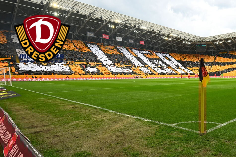 Sommerpause für Dynamo, doch das Rudolf-Harbig-Stadion hat Hochbetrieb