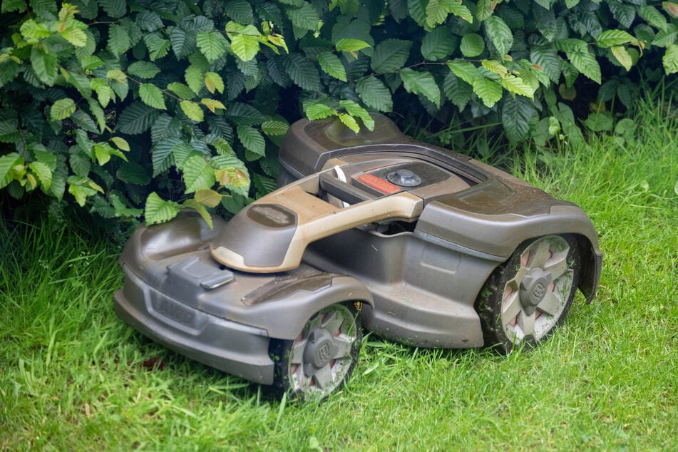 Mähroboter-Nachtfahrverbot in Zwickau gescheitert