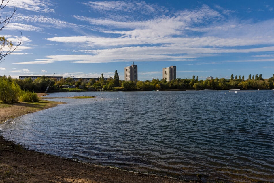 Am Kiessee in Leuben wurden die toten Tiere entdeckt.