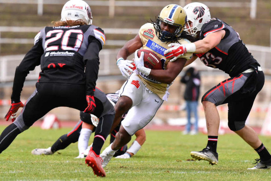 Der Monarchs-Kampf gegen die Lions aus Braunschweig wurde am Ende leider nicht belohnt.