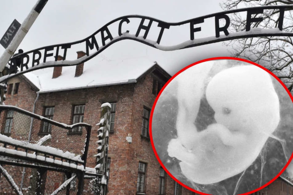 Der Slogan der Broschüre erinnert an das NS-Vernichtungslager Auschwitz. (Bildmontage)