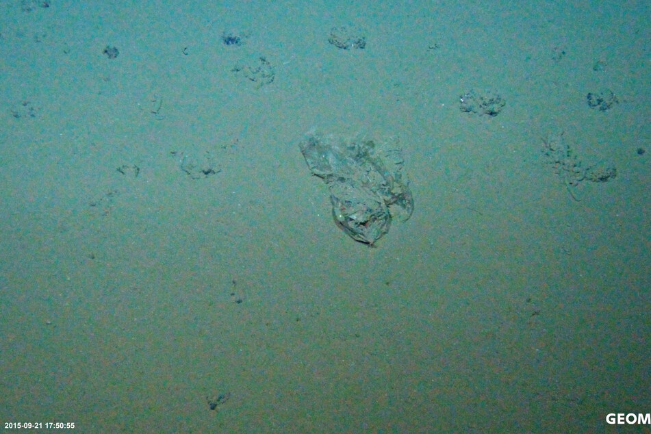 Eine Plastiktüte liegt am Meeresboden des DISCOL-Gebietes. (Archivbild)