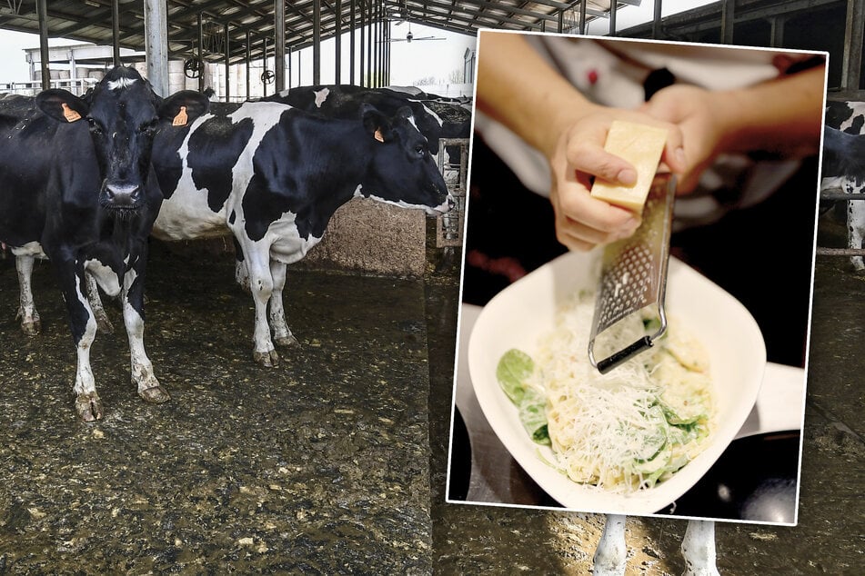 Der Preis für den Klimawandel: Können wir uns Parmesan bald nicht mehr leisten?