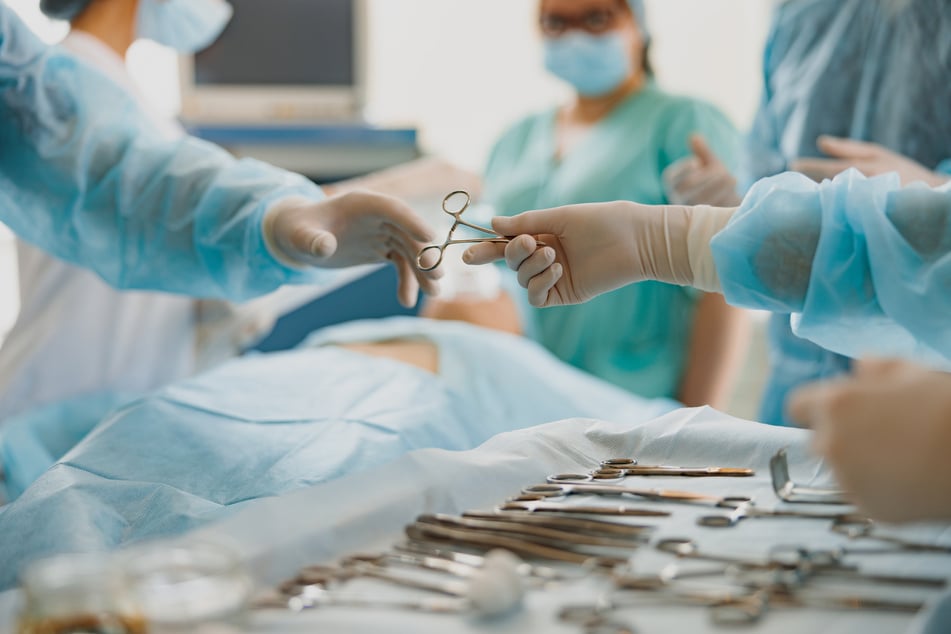 Bereits in den 1990er Jahren begannen die ersten Forschungen rund um die Transplantation tierischer Organe im menschlichen Körper. (Symbolfoto)