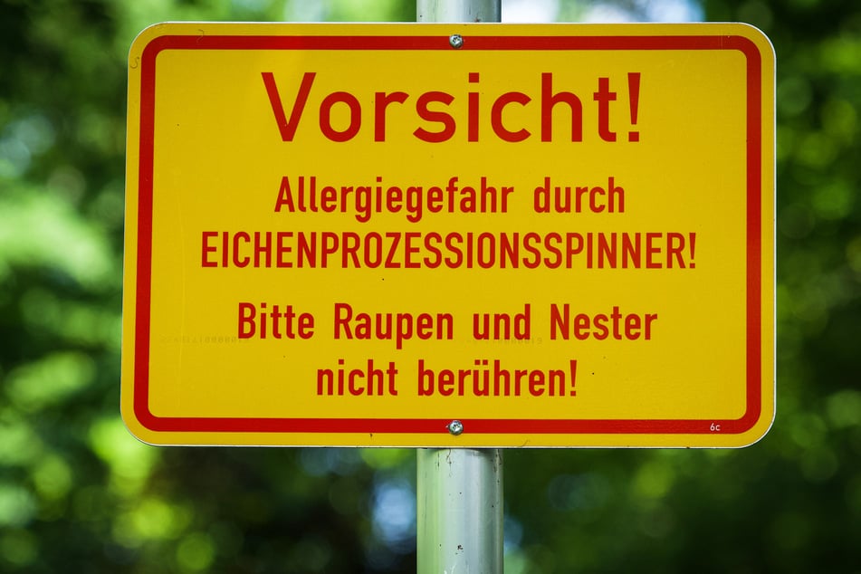 In einigen Berliner Grünanlagen werden Besucher durch Hinweisschilder gewarnt.