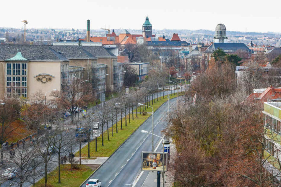Wo jetzt noch Bäume stehen, soll einmal die Stadtbahn von Löbtau bis Strehlen rollen.