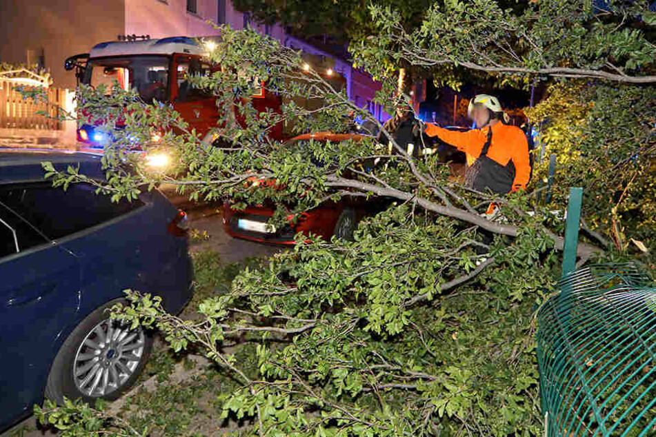 Als der Ast abbrach, riss er einen Zaun um und beschädigte zwei Autos.