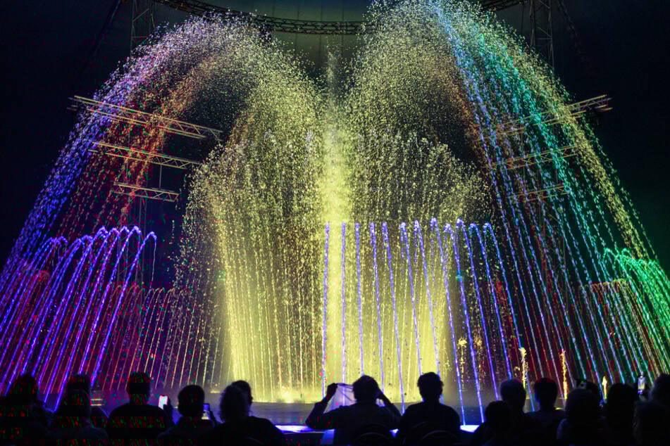 Tickets für die Zirkus-Show des Jahres in Chemnitz und Zwickau sind ab sofort online erhältlich.