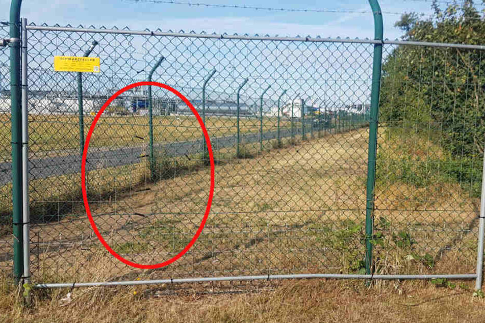 Das Loch im Zaun war bei einer Routine-Kontrolle entdeckt worden.