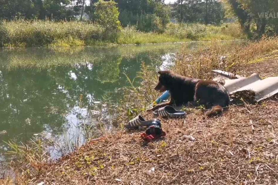 Mhee sitzt am See und wartet auf seinen ertrunkenen Besitzer.