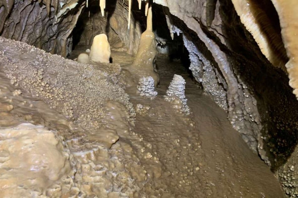 Die Forscher haben erste Tropfsteine, Sedimente, Versteinerungen und Höhlengänge entdeckt.