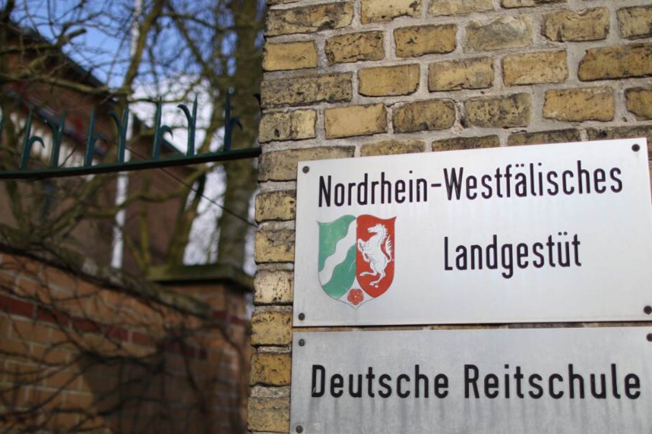 Im NRW Landgestüt soll einiges nicht mit rechten Dingen zugegangen sein.
