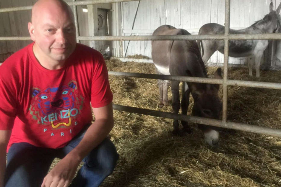 Esel "Vitus" knabberte einen Sportwagen an und verursachte einen Schaden von 5.800 Euro.