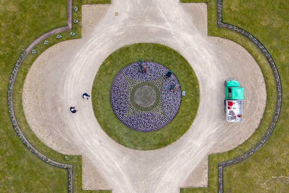 Blick auf das symmetrische Schmuckbeet im Schlosspark Pillnitz.