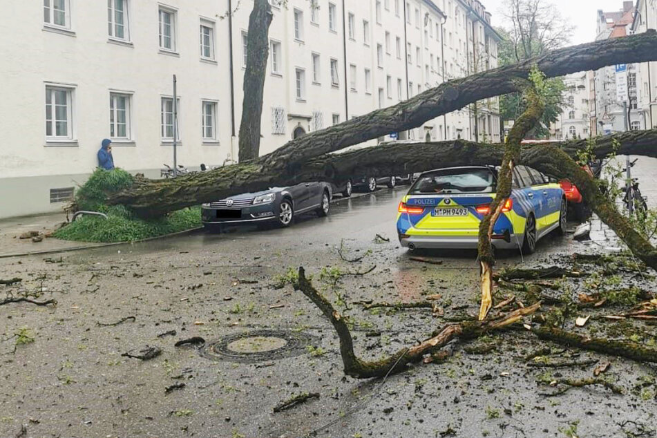 Eine Polizistin ist bei einer Verkehrskontrolle in München durch ein herabfallendes Stromkabel verletzt worden.