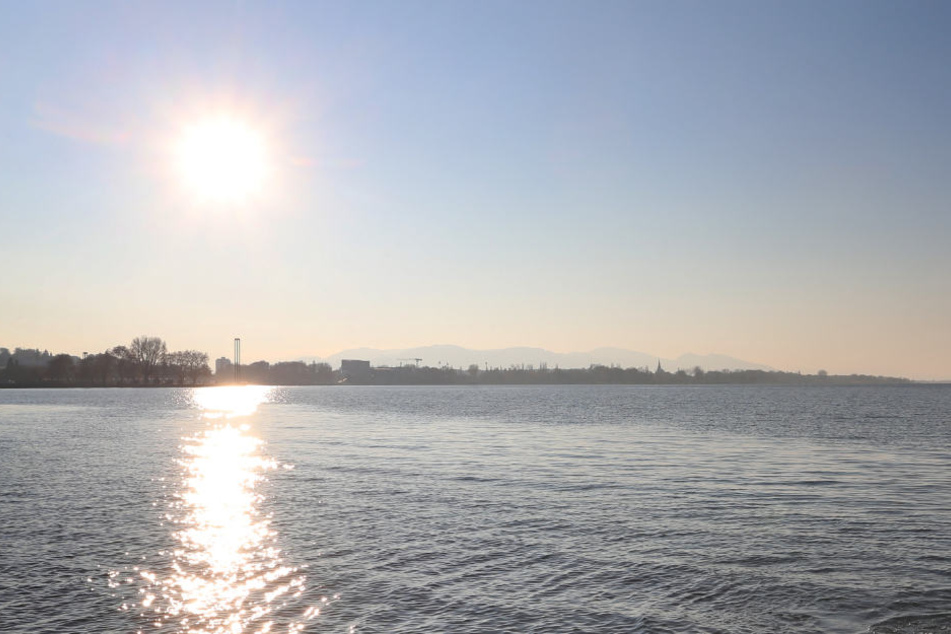 Die Fischer fangen aus dem Bodensee deutlich weniger Fische als noch vor wenigen Jahren.