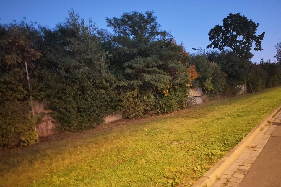 Der Plan sieht etwa 770 Wohneinheiten vor.