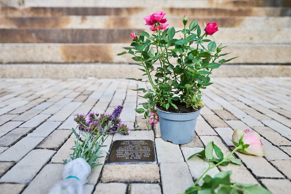 Am Stolperstein zur Erinnerung an Heidenaus ersten Bürgermeister Paul Gröger wurden Blumen abgelegt.