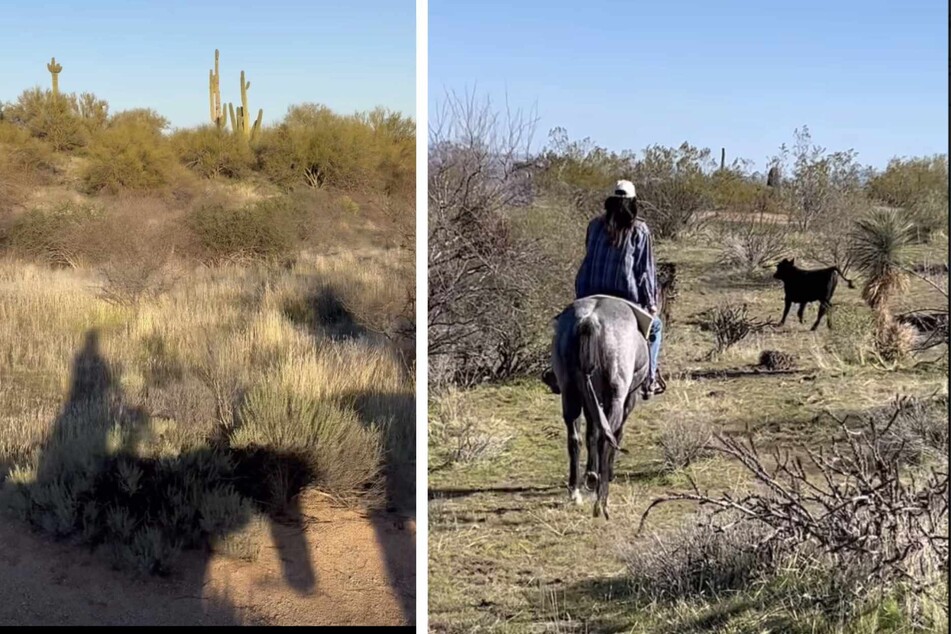 Other fans corroborated that Kendall Jenner was indeed in Phoenix, noticing saguaro cacti in the back of a horseriding pic from her Insta Stories.