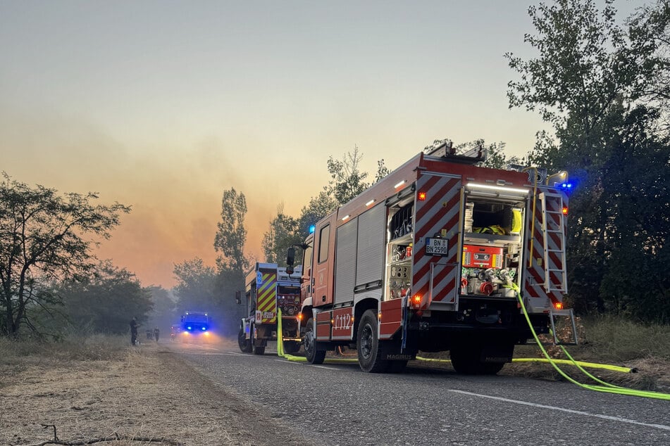 Nach elf Tagen sind Feuerwehrleute aus Nordrhein-Westfalen und Niedersachsen von der Bekämpfung eines großen Waldbrands in Serbien zurückgekehrt.