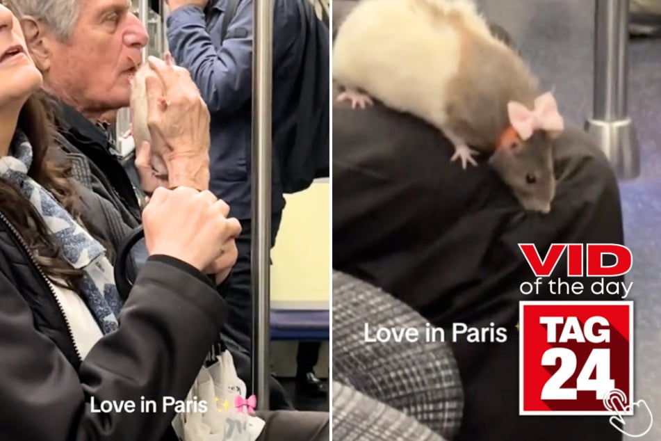 Today's Viral Video of the Day features a man in Paris kissing his "coquette" rat on the subway!