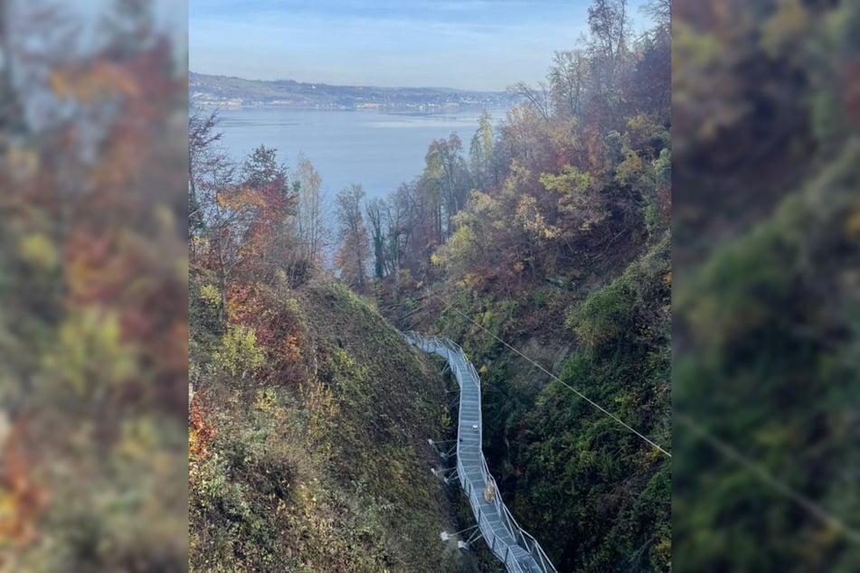 Die Marienschlucht gilt als Naturschönheit am südlichen Überlinger See. Bald darf sie wieder besucht werden.