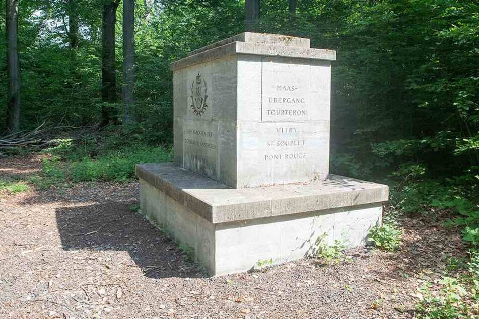 Eine vom Sturm gefällte Buche beschädigte das Hirsch-Denkmal im Zeisigwald.