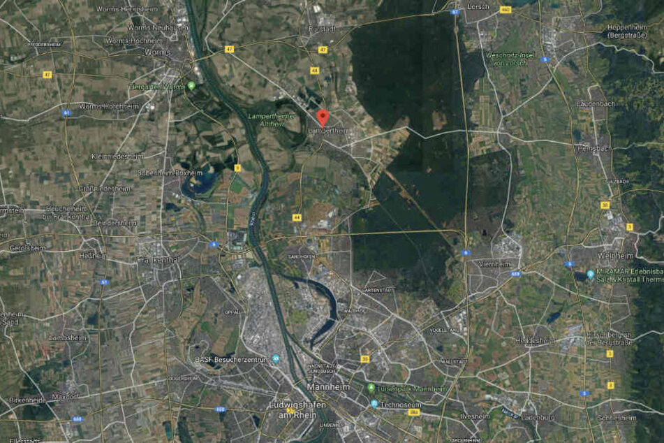 Die Gruppe war auf der B44 zwischen Lampertheim und Mannheim unterwegs.