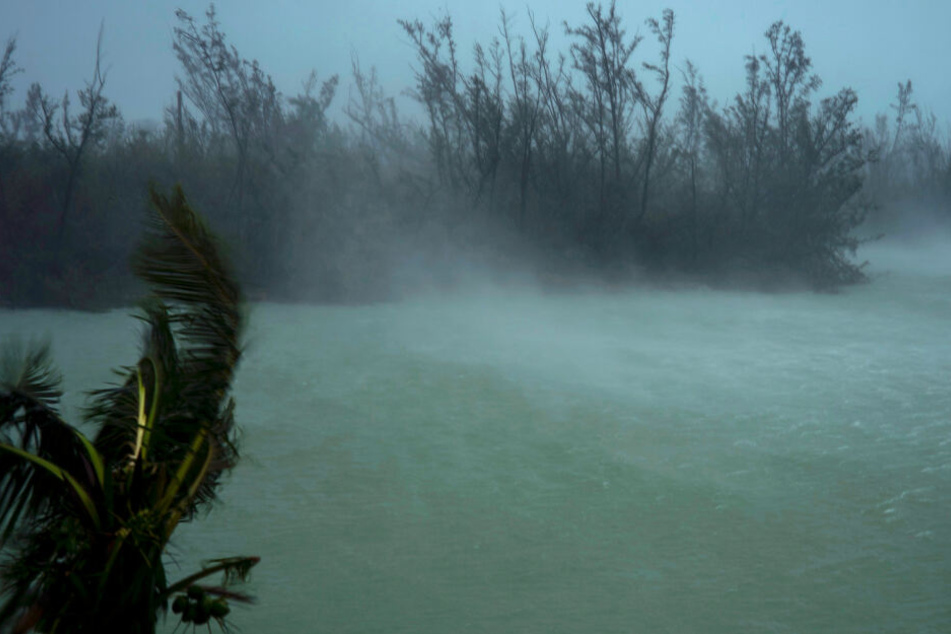 Bahamas, Freeport: Sturmböen von Hurrikan "Dorian" peitschen die Baumspitzen und wirbeln das Wasser von der Oberfläche eines Kanals auf.