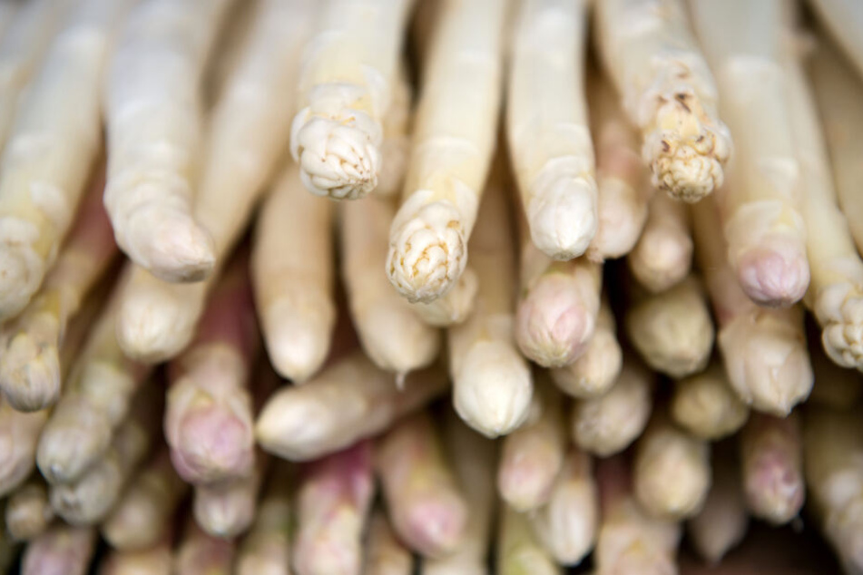 Spargel ist eines der beliebtesten Frühlingsgemüse in Deutschland.