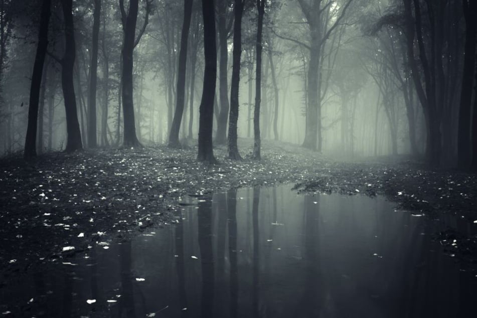 Die Frau ließ ihr Kind in einem Teich ertrinken. (Symbolbild)