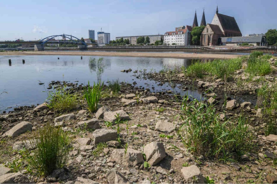 Blick vom polnischen Ufer über den Niedrigwasser führenden Grenzfluss Oder auf die Stadt Frankfurt (Oder).